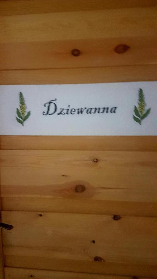 Dziewanna Apartment Brzeziniec ภายนอก รูปภาพ