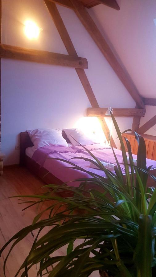 Dziewanna Apartment Brzeziniec ภายนอก รูปภาพ
