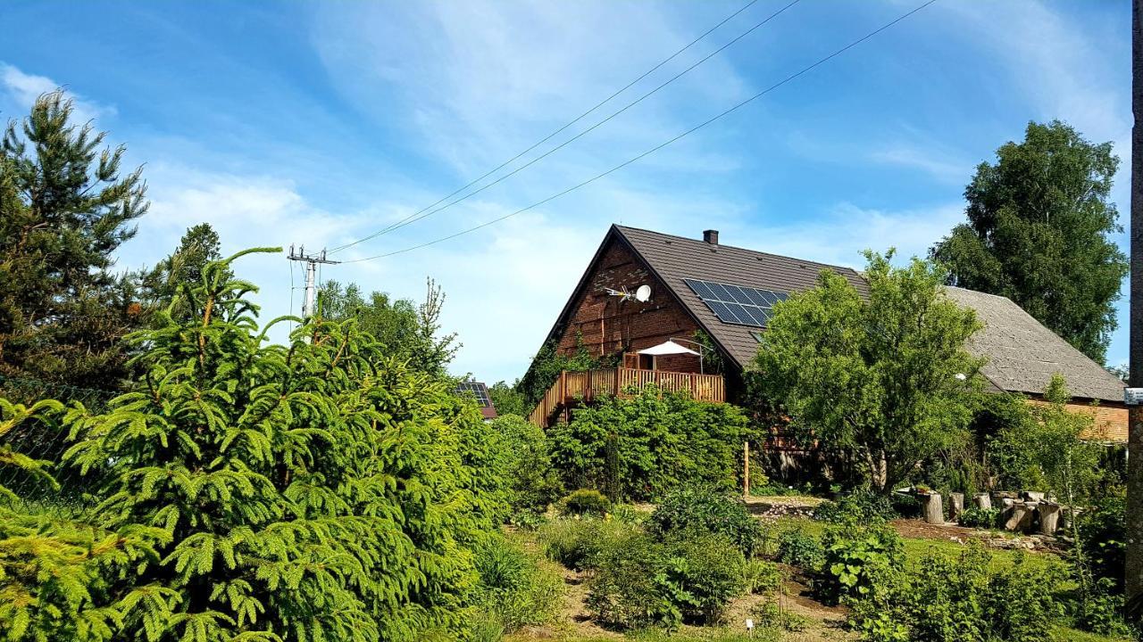 Dziewanna Apartment Brzeziniec ภายนอก รูปภาพ